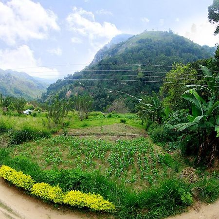 Ella Paddy Field View Guest Inn Экстерьер фото